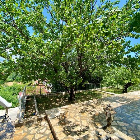Guest House Ivano Mostar Dış mekan fotoğraf