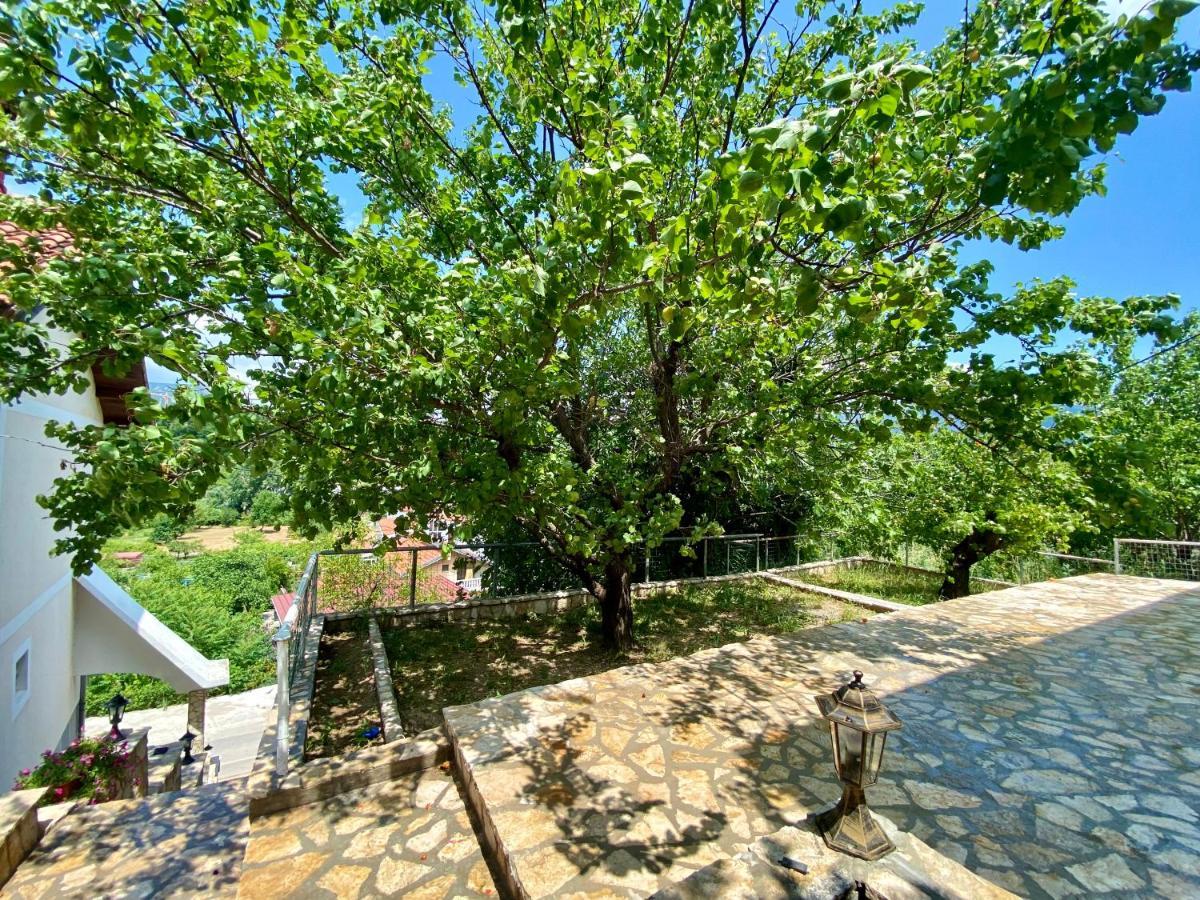 Guest House Ivano Mostar Dış mekan fotoğraf