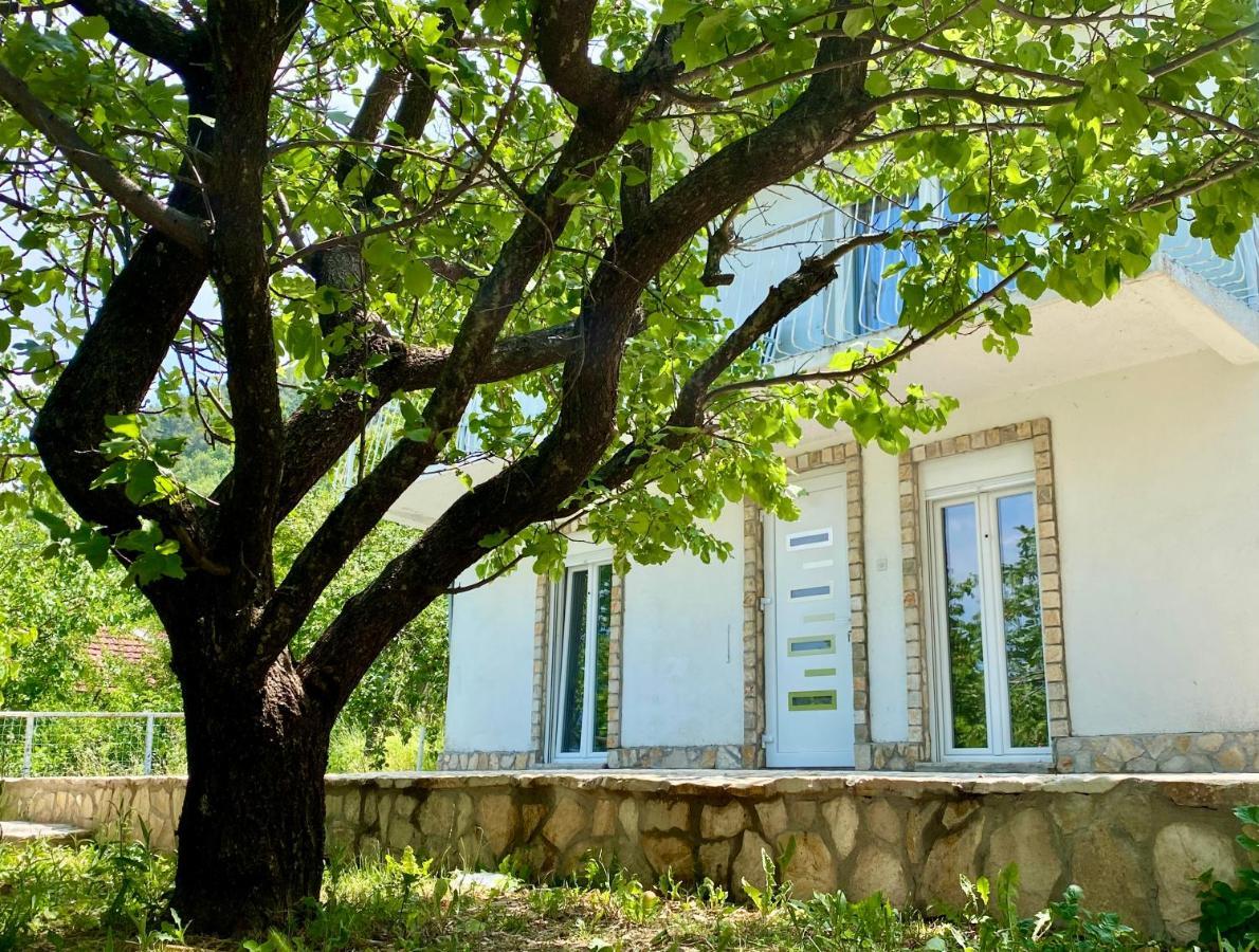 Guest House Ivano Mostar Dış mekan fotoğraf